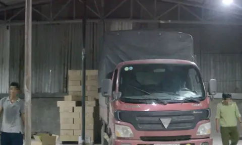 Truy tố nhóm bị can buôn lậu đèn led từ Trung Quốc về Việt Nam